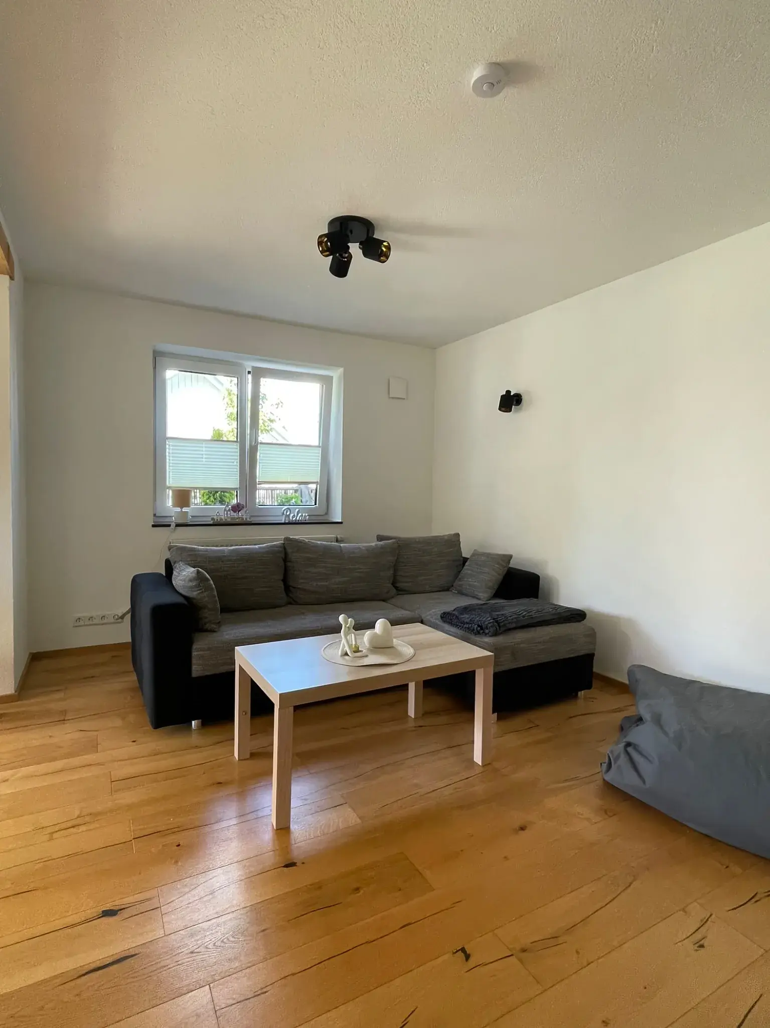 Wohnzimmer der Ferienwohnung Klärle in Leutkirch im Allgäu mit Schlafsofa und Sitzsack